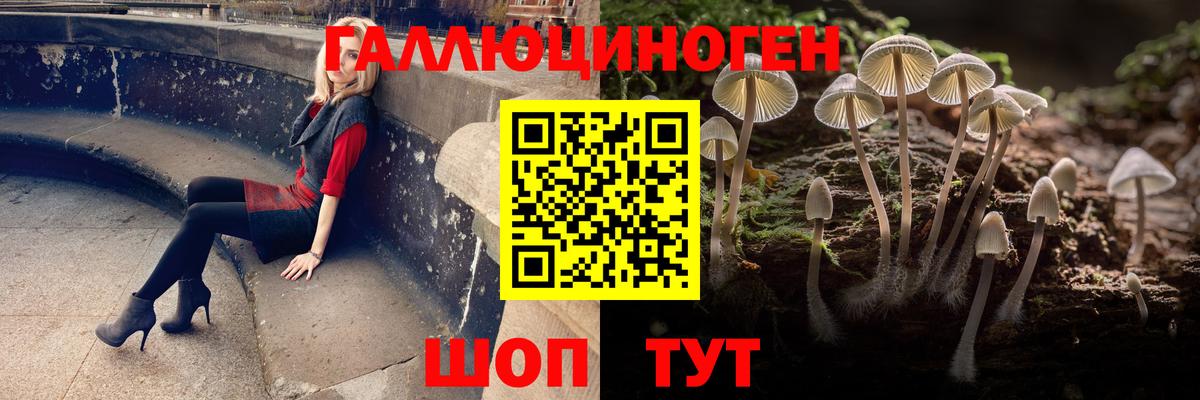 Ипатово  Псилоцибиновые грибы прущие грибы  Вход с VPN 